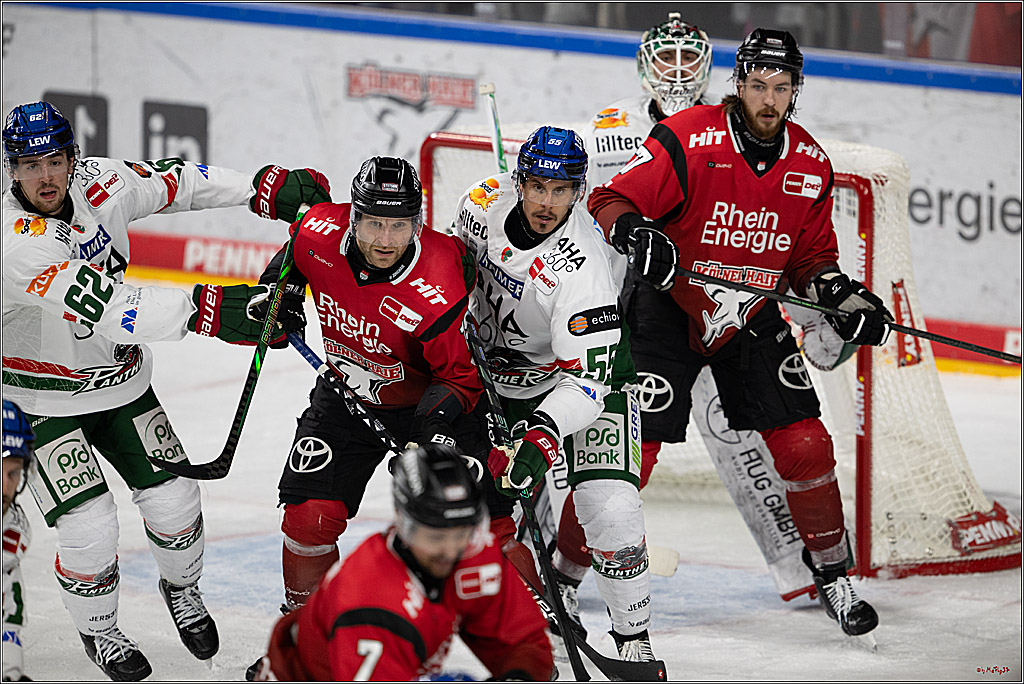 PENNY DEL 1; Kölner Haie - Augsburger Panther; Köln, 21.11.2025