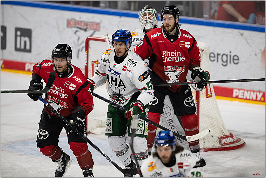 PENNY DEL 1; Kölner Haie - Augsburger Panther; Köln, 21.11.2025