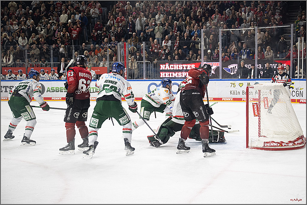 PENNY DEL 1; Kölner Haie - Augsburger Panther; Köln, 21.11.2025