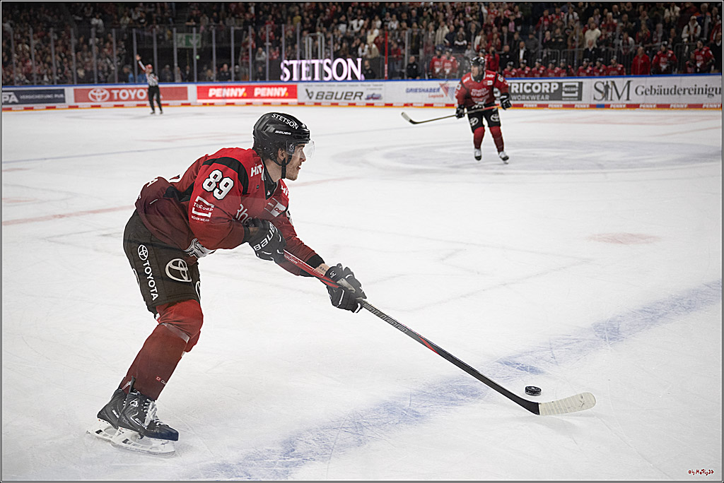 PENNY DEL 1; Kölner Haie - Augsburger Panther; Köln, 21.11.2025