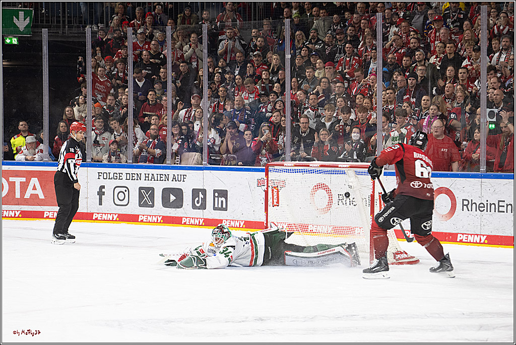 PENNY DEL 1; Kölner Haie - Augsburger Panther; Köln, 21.11.2025