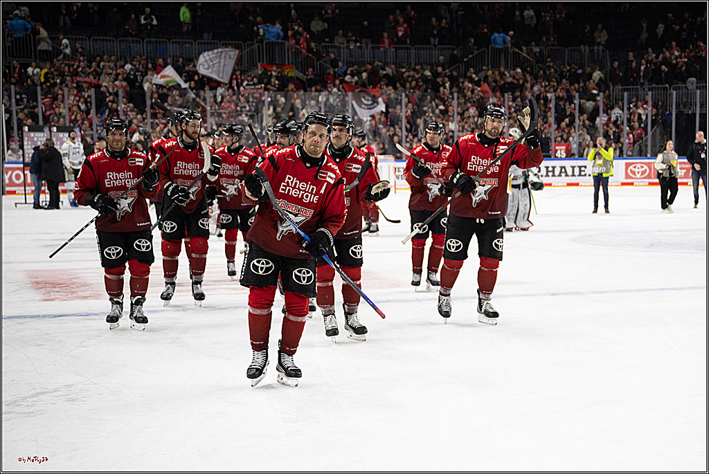 PENNY DEL 1; Kölner Haie - Augsburger Panther; Köln, 21.11.2025