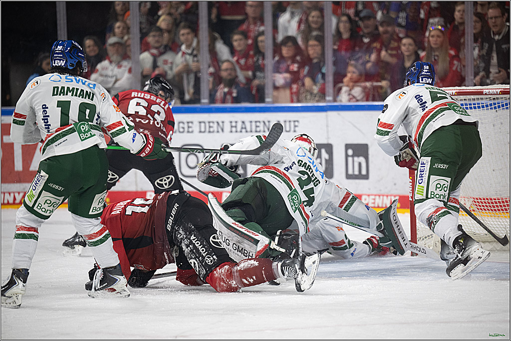 PENNY DEL 1; Kölner Haie - Augsburger Panther; Koeln, 21.11.2025