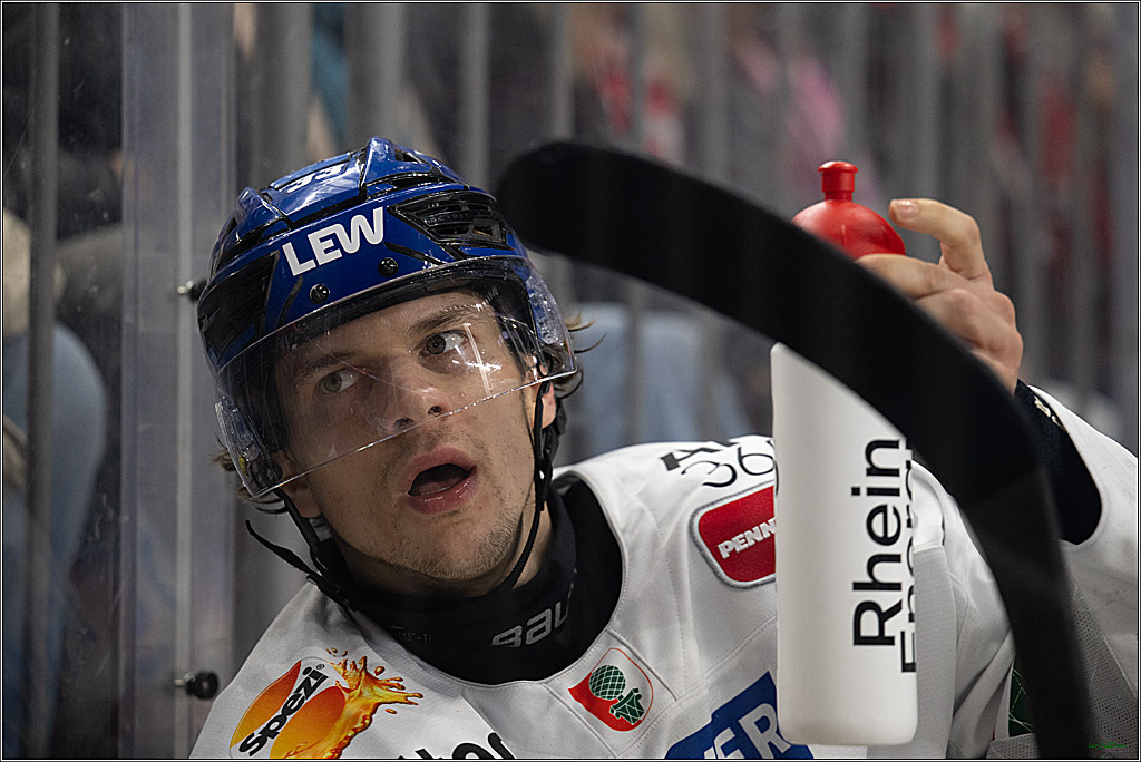 PENNY DEL 1; Kölner Haie - Augsburger Panther; Koeln, 21.11.2025