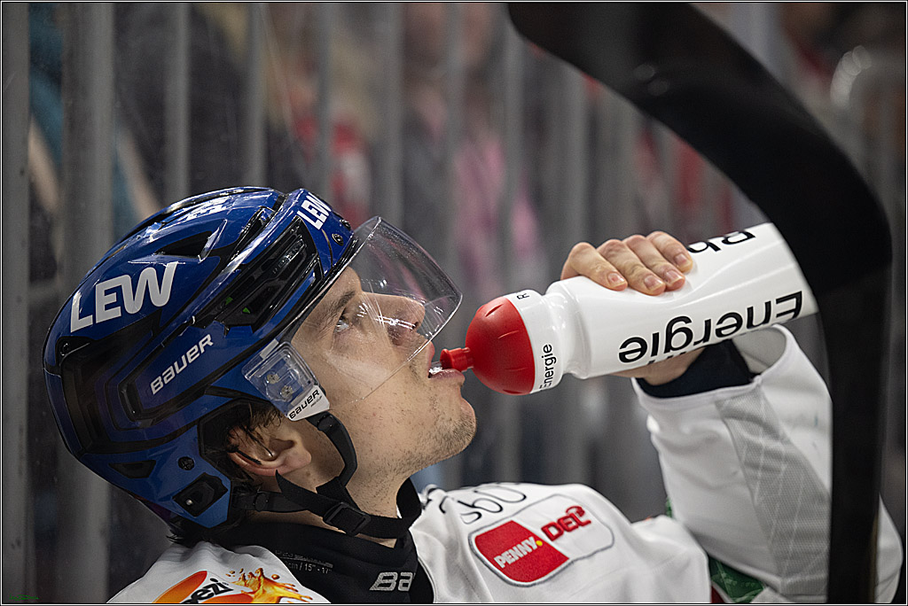 PENNY DEL 1; Kölner Haie - Augsburger Panther; Koeln, 21.11.2025