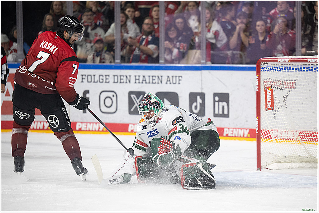 PENNY DEL 1; Kölner Haie - Augsburger Panther; Koeln, 21.11.2025