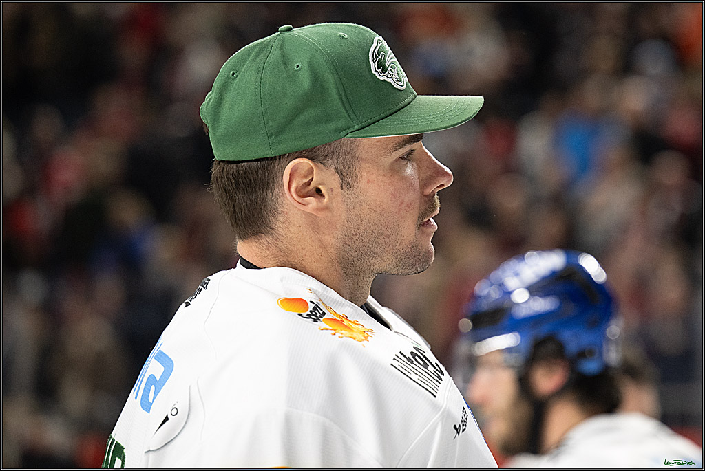 PENNY DEL 1; Kölner Haie - Augsburger Panther; Koeln, 21.11.2025