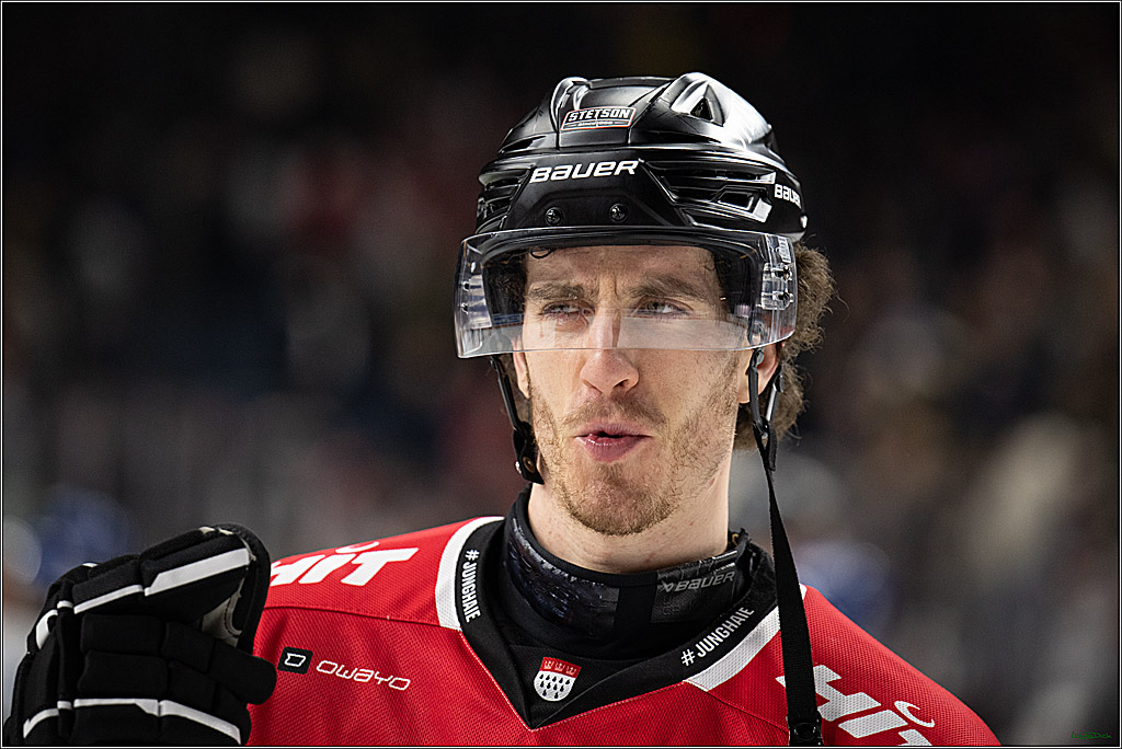 PENNY DEL 1; Kölner Haie - Augsburger Panther; Koeln, 21.11.2025