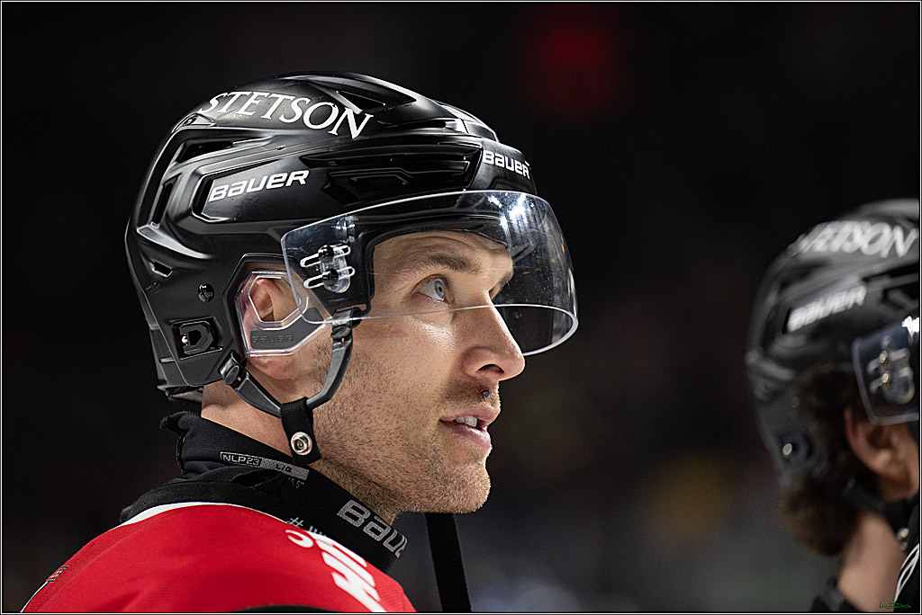 PENNY DEL 1; Kölner Haie - Augsburger Panther; Koeln, 21.11.2025