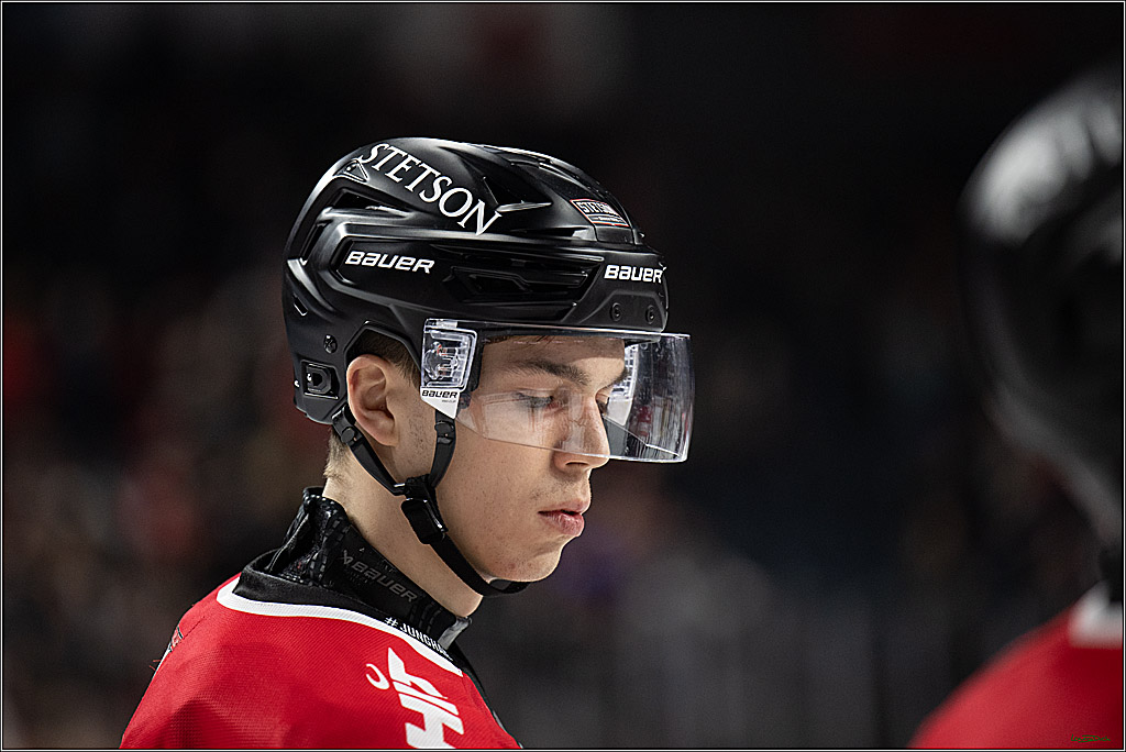 PENNY DEL 1; Kölner Haie - Augsburger Panther; Koeln, 21.11.2025