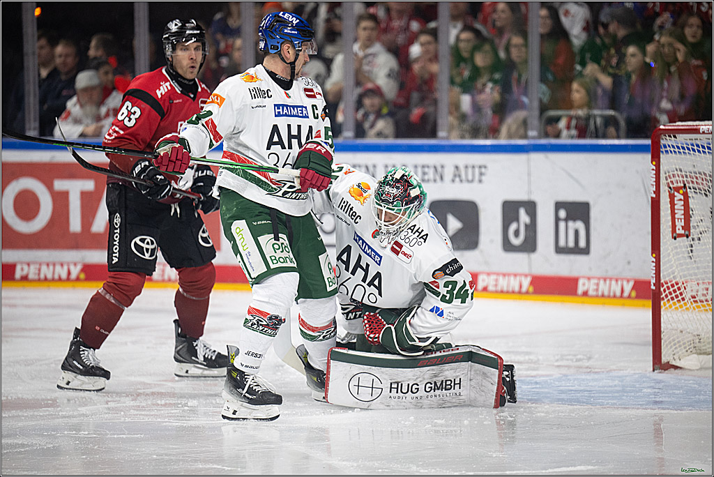 PENNY DEL 1; Kölner Haie - Augsburger Panther; Koeln, 21.11.2025