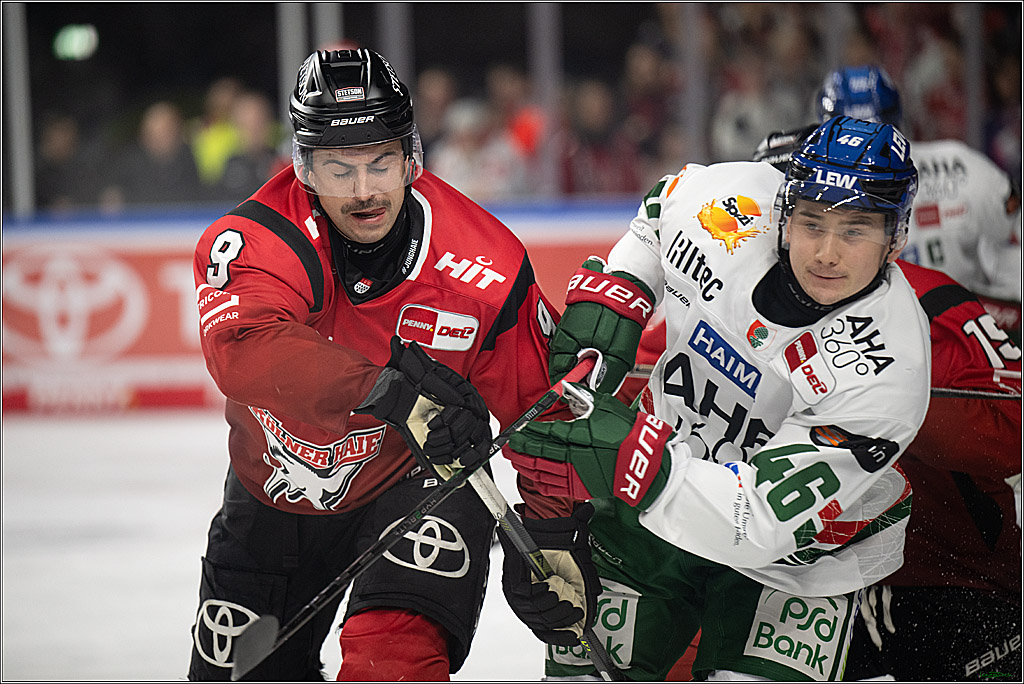 PENNY DEL 1; Kölner Haie - Augsburger Panther; Koeln, 21.11.2025