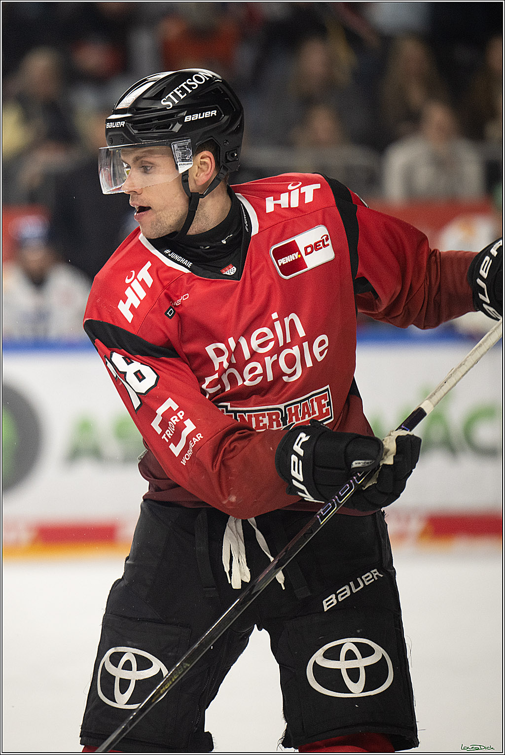 PENNY DEL 1; Kölner Haie - Augsburger Panther; Koeln, 21.11.2025
