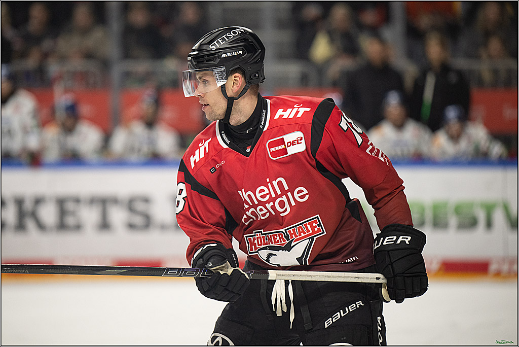 PENNY DEL 1; Kölner Haie - Augsburger Panther; Koeln, 21.11.2025