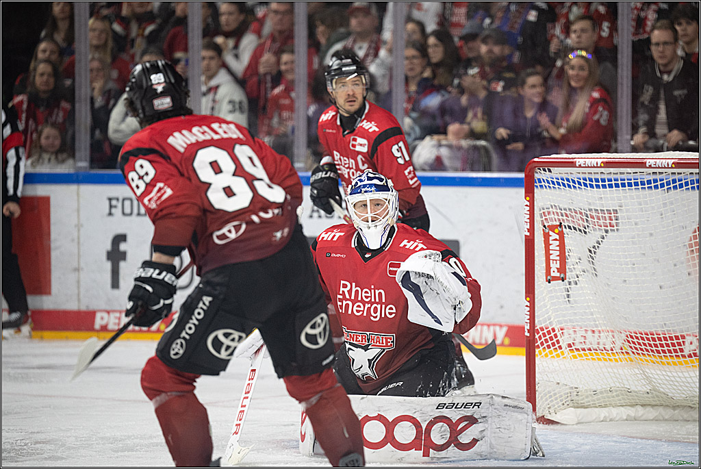 PENNY DEL 1; Kölner Haie - Augsburger Panther; Koeln, 21.11.2025