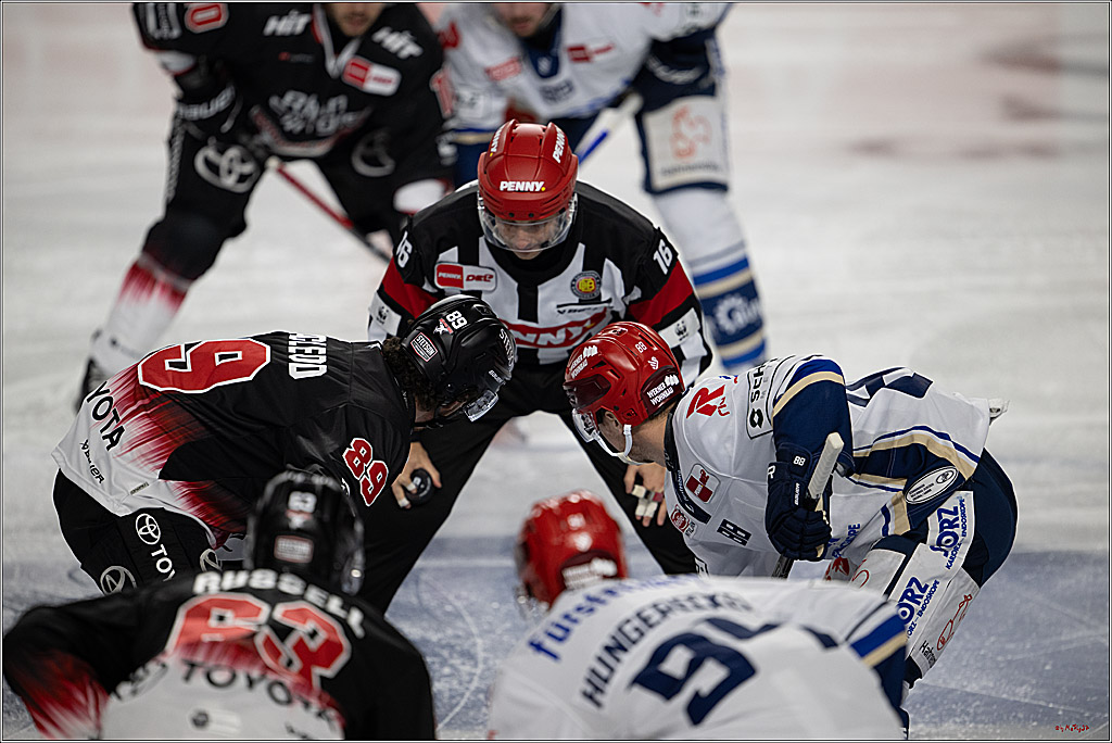 PENNY DEL 1; Kölner Haie - Schwenninger Wild Wings; Köln, 23.11.2025