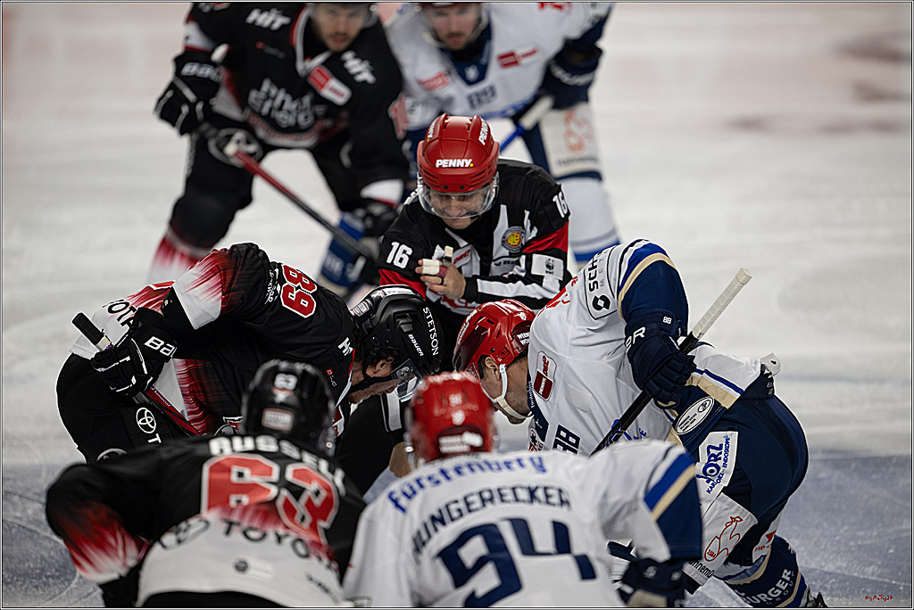 PENNY DEL 1; Kölner Haie - Schwenninger Wild Wings; Köln, 23.11.2025
