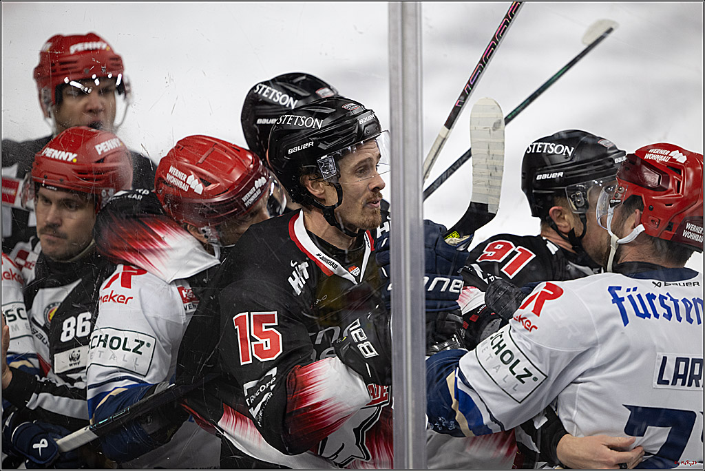 PENNY DEL 1; Kölner Haie - Schwenninger Wild Wings; Köln, 23.11.2025