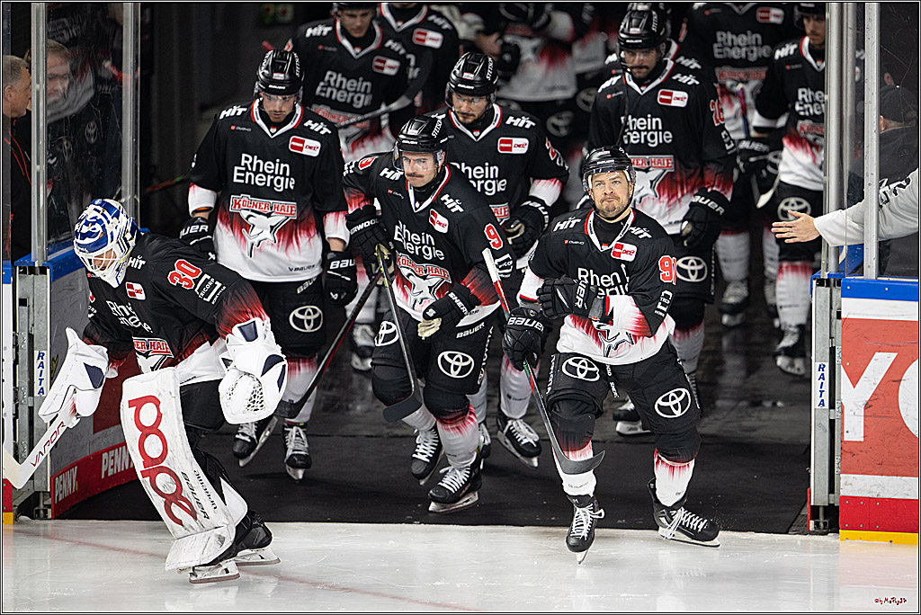 PENNY DEL 1; Kölner Haie - Schwenninger Wild Wings; Köln, 23.11.2025