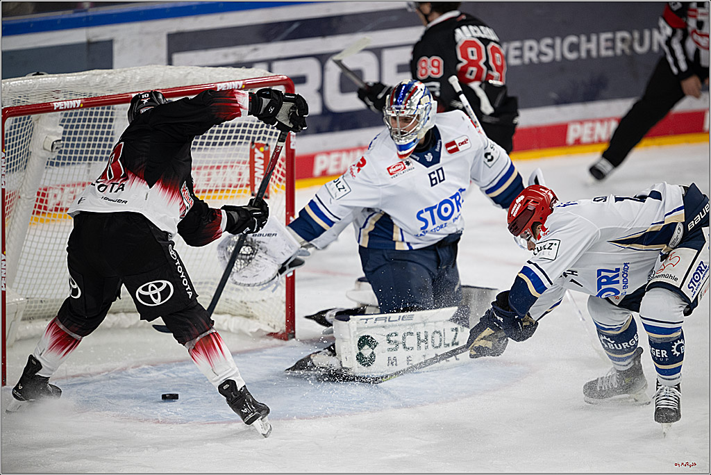 PENNY DEL 1; Kölner Haie - Schwenninger Wild Wings; Köln, 23.11.2025