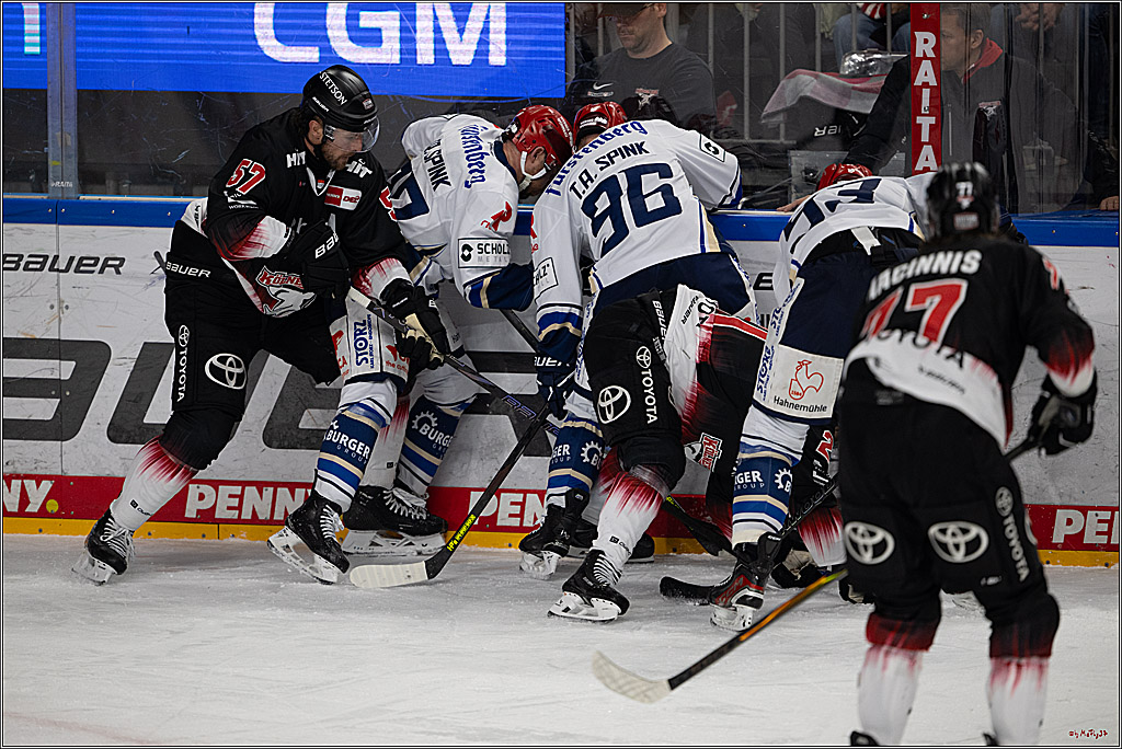 PENNY DEL 1; Kölner Haie - Schwenninger Wild Wings; Köln, 23.11.2025