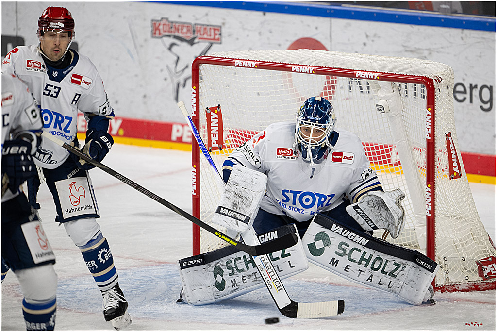 PENNY DEL 1; Kölner Haie - Schwenninger Wild Wings; Köln, 23.11.2025