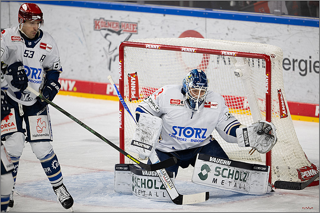 PENNY DEL 1; Kölner Haie - Schwenninger Wild Wings; Köln, 23.11.2025