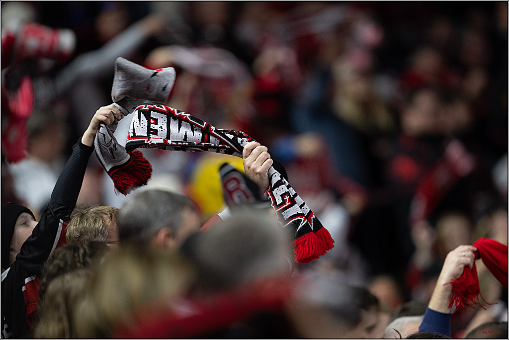 PENNY DEL 1; Kölner Haie - Schwenninger Wild Wings; Köln, 23.11.2025