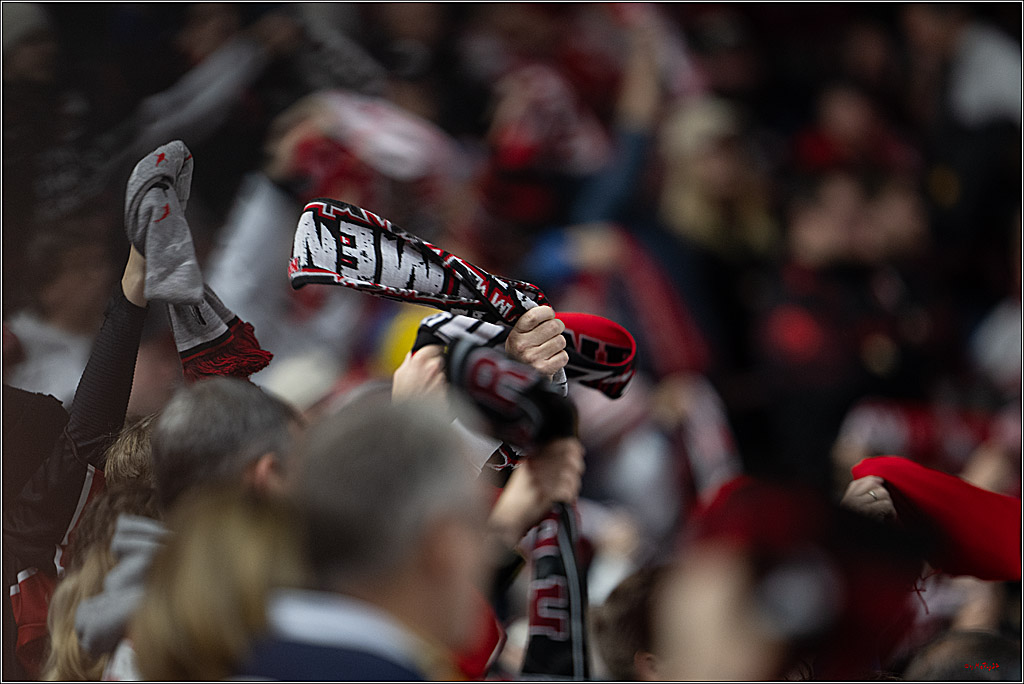 PENNY DEL 1; Kölner Haie - Schwenninger Wild Wings; Köln, 23.11.2025