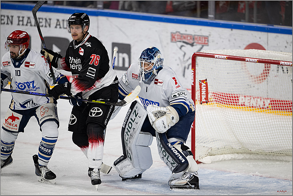 PENNY DEL 1; Kölner Haie - Schwenninger Wild Wings; Köln, 23.11.2025