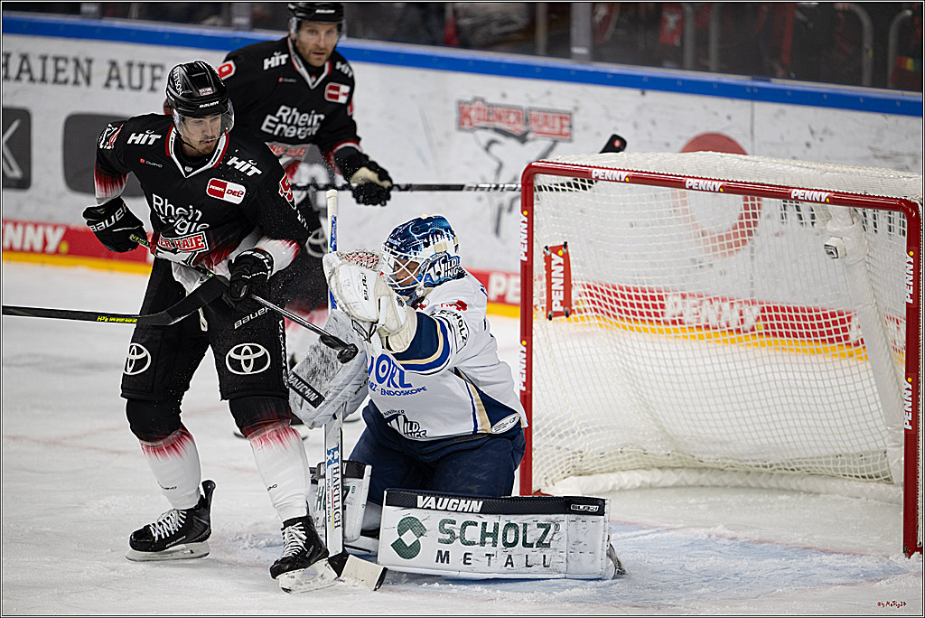 PENNY DEL 1; Kölner Haie - Schwenninger Wild Wings; Köln, 23.11.2025