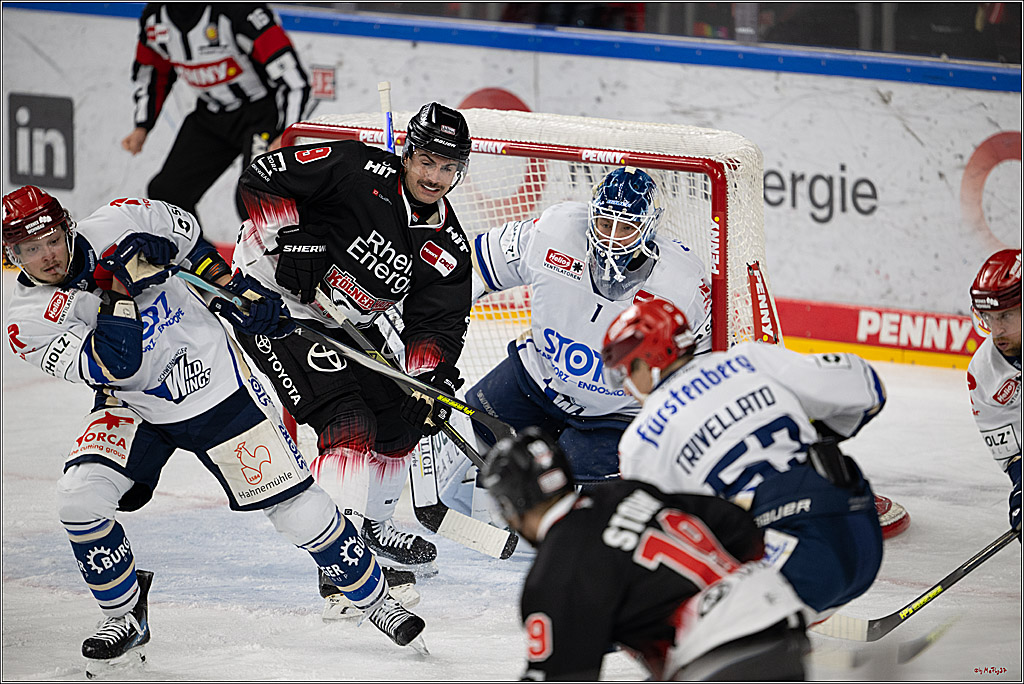 PENNY DEL 1; Kölner Haie - Schwenninger Wild Wings; Köln, 23.11.2025