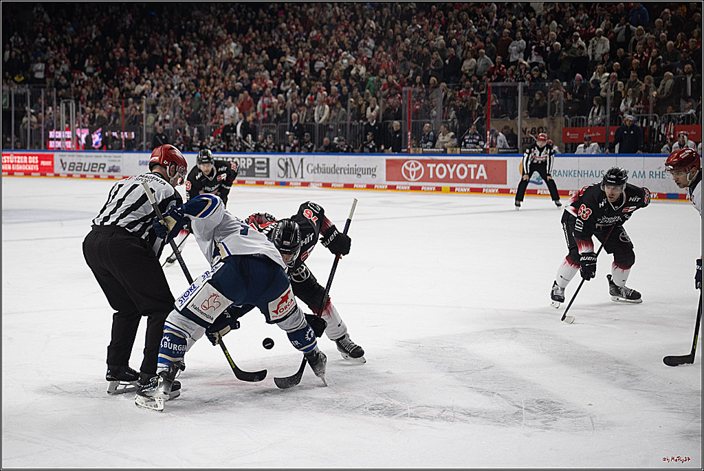PENNY DEL 1; Kölner Haie - Schwenninger Wild Wings; Köln, 23.11.2025