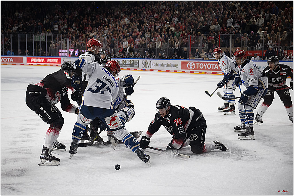 PENNY DEL 1; Kölner Haie - Schwenninger Wild Wings; Köln, 23.11.2025