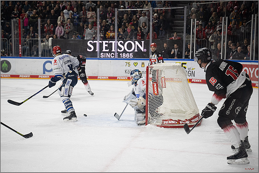 PENNY DEL 1; Kölner Haie - Schwenninger Wild Wings; Köln, 23.11.2025
