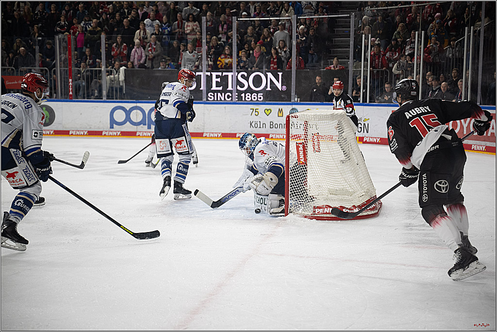 PENNY DEL 1; Kölner Haie - Schwenninger Wild Wings; Köln, 23.11.2025
