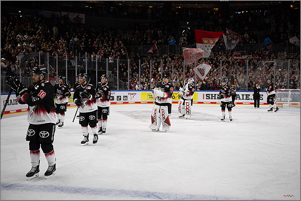 PENNY DEL 1; Kölner Haie - Schwenninger Wild Wings; Köln, 23.11.2025