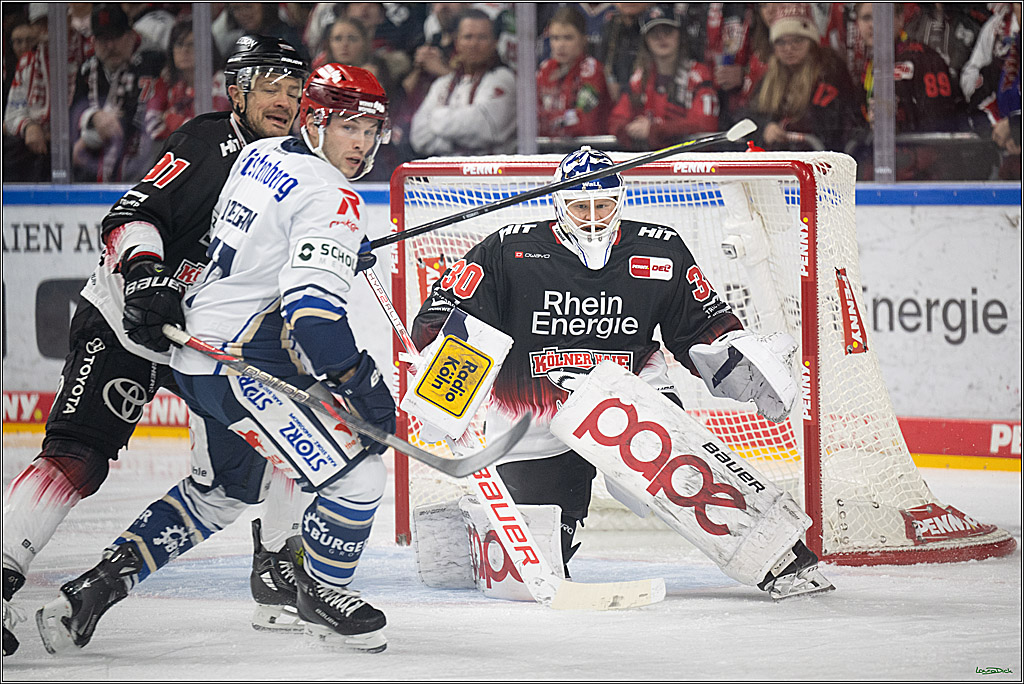 PENNY DEL 1; Kölner Haie - Schwenninger Wild Wings; Koeln, 23.11.2025