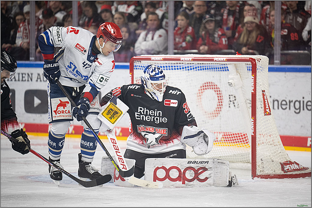 PENNY DEL 1; Kölner Haie - Schwenninger Wild Wings; Koeln, 23.11.2025