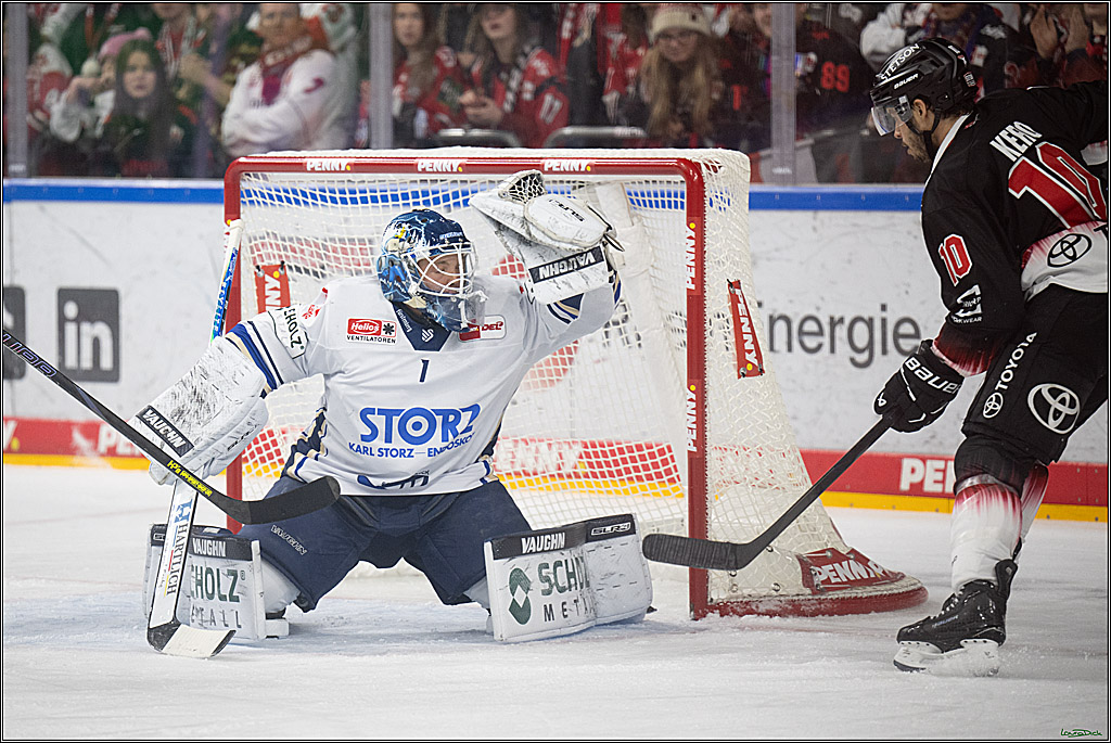 PENNY DEL 1; Kölner Haie - Schwenninger Wild Wings; Koeln, 23.11.2025