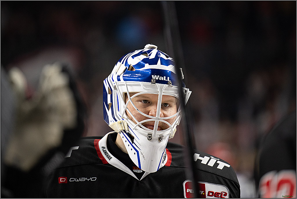 PENNY DEL 1; Kölner Haie - Schwenninger Wild Wings; Koeln, 23.11.2025