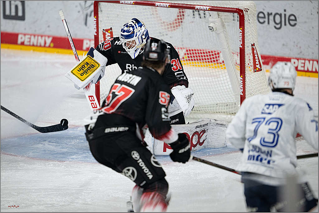 PENNY DEL 1; Kölner Haie - Adler Mannheim; Köln, 25.11.2025
