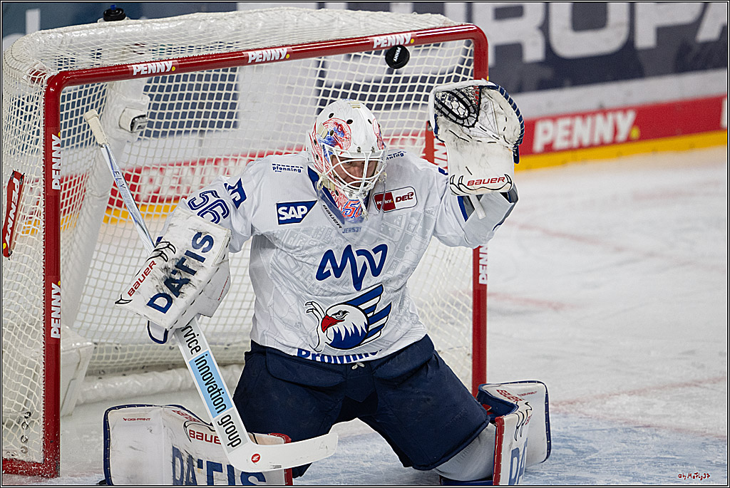 PENNY DEL 1; Kölner Haie - Adler Mannheim; Köln, 25.11.2025