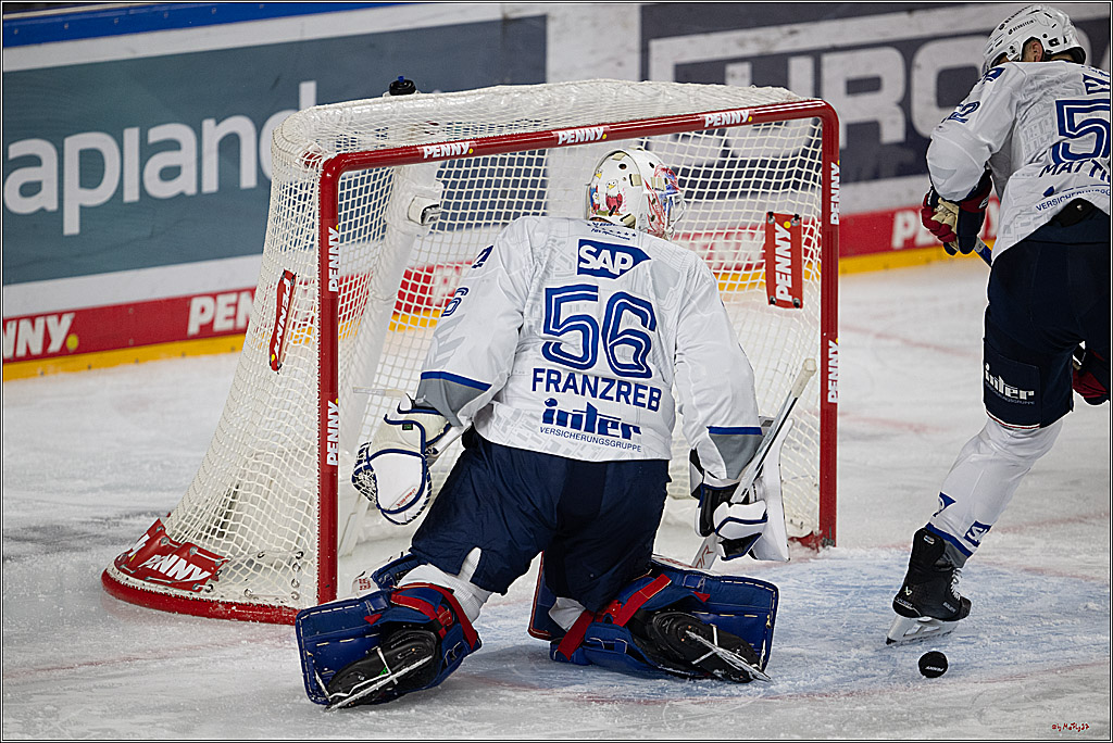 PENNY DEL 1; Kölner Haie - Adler Mannheim; Köln, 25.11.2025
