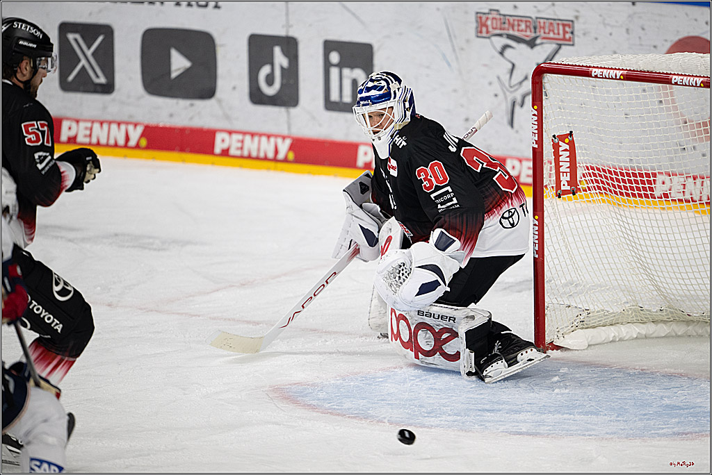 PENNY DEL 1; Kölner Haie - Adler Mannheim; Köln, 25.11.2025