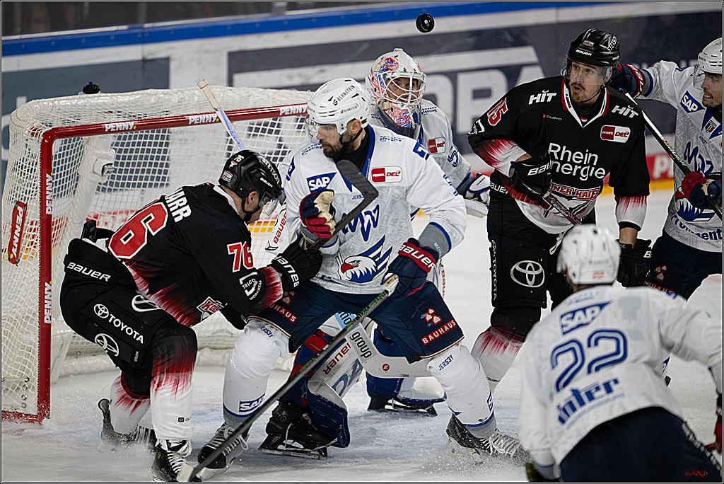 PENNY DEL 1; Kölner Haie - Adler Mannheim; Köln, 25.11.2025