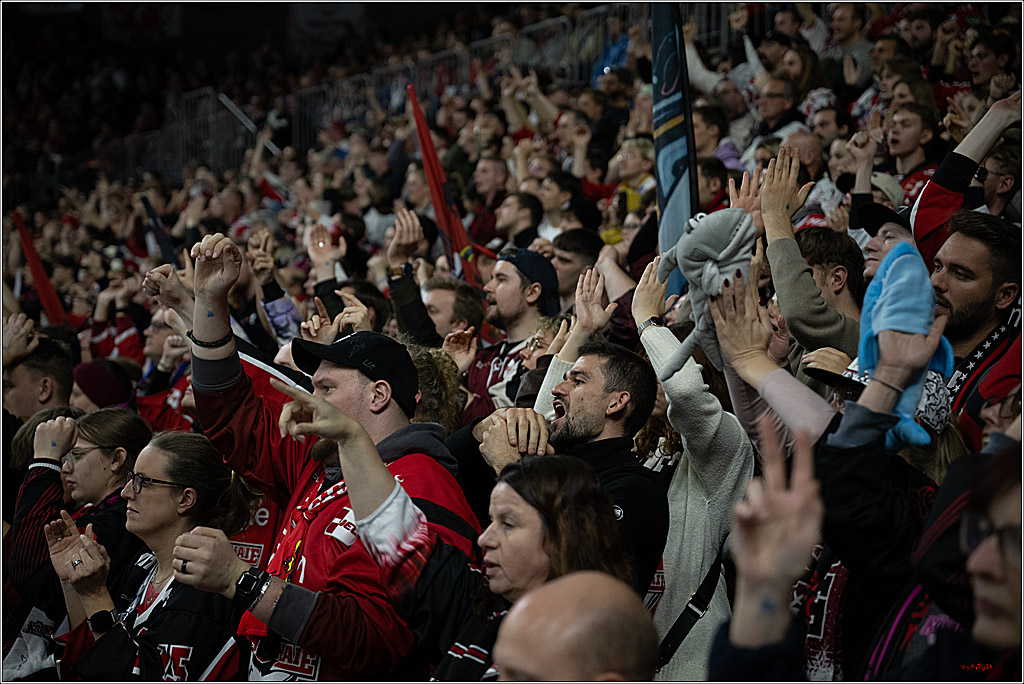PENNY DEL 1; Kölner Haie - Adler Mannheim; Köln, 25.11.2025