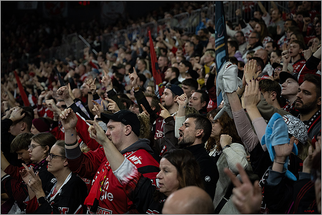 PENNY DEL 1; Kölner Haie - Adler Mannheim; Köln, 25.11.2025
