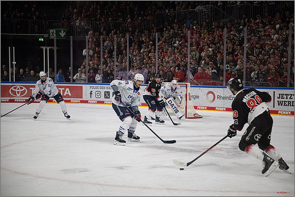 PENNY DEL 1; Kölner Haie - Adler Mannheim; Köln, 25.11.2025