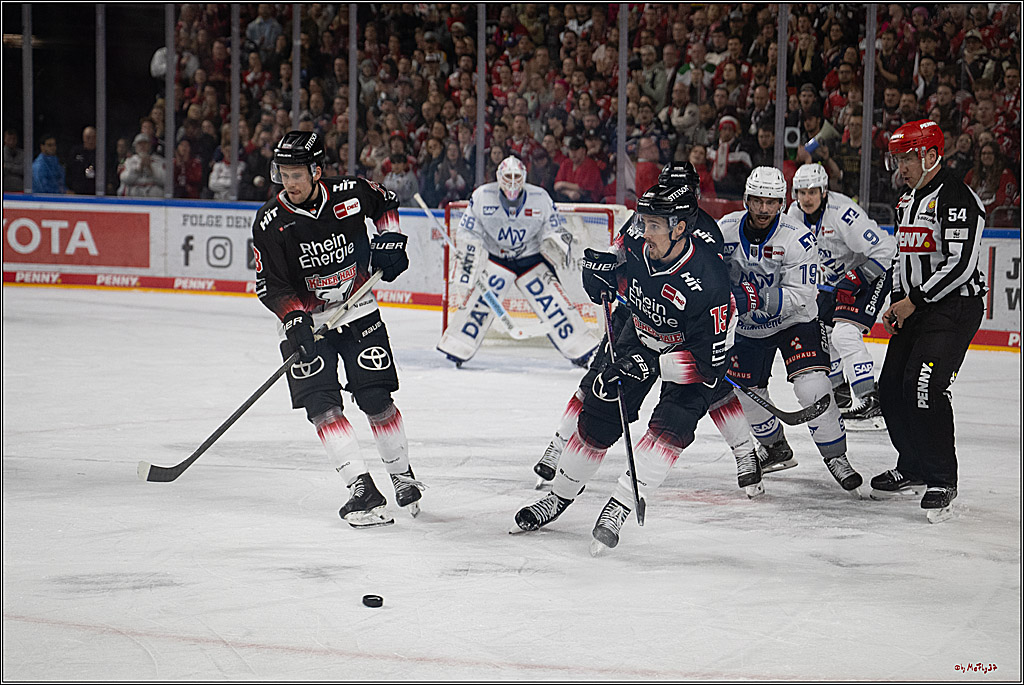 PENNY DEL 1; Kölner Haie - Adler Mannheim; Köln, 25.11.2025